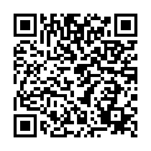 LINE登録用QRコード